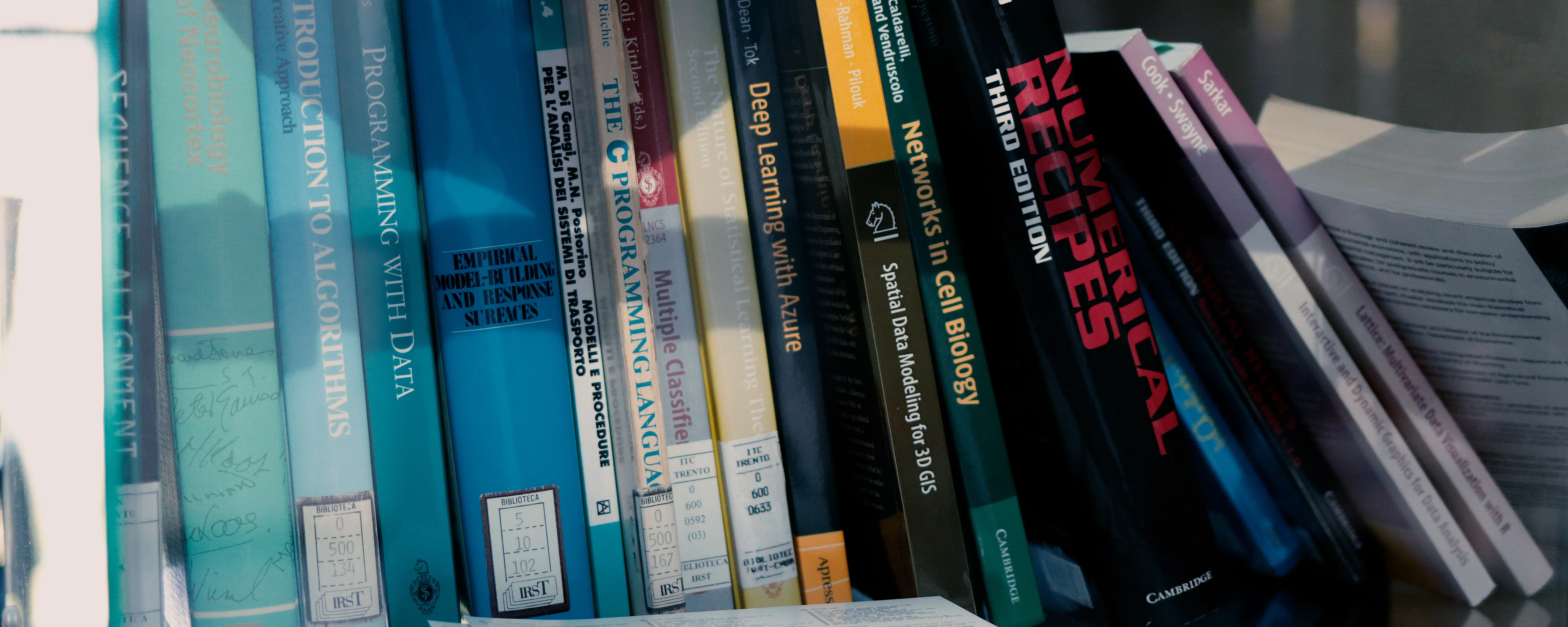 New preprint: simulating the impacts of traffic policies before implementation